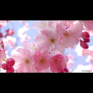 Meet your Posher, Geraldine